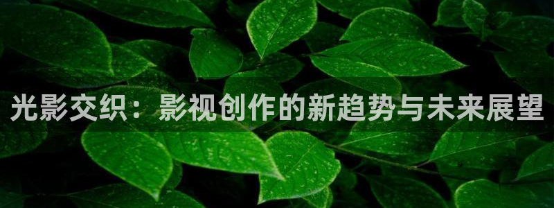 麻豆高清不卡视频