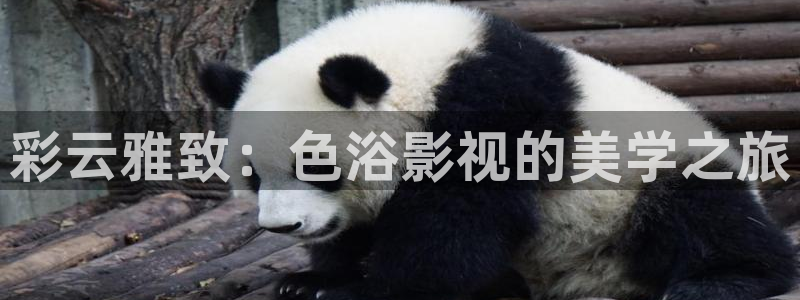 三级电影久久麻豆